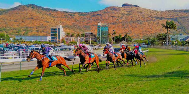Horse Racing
