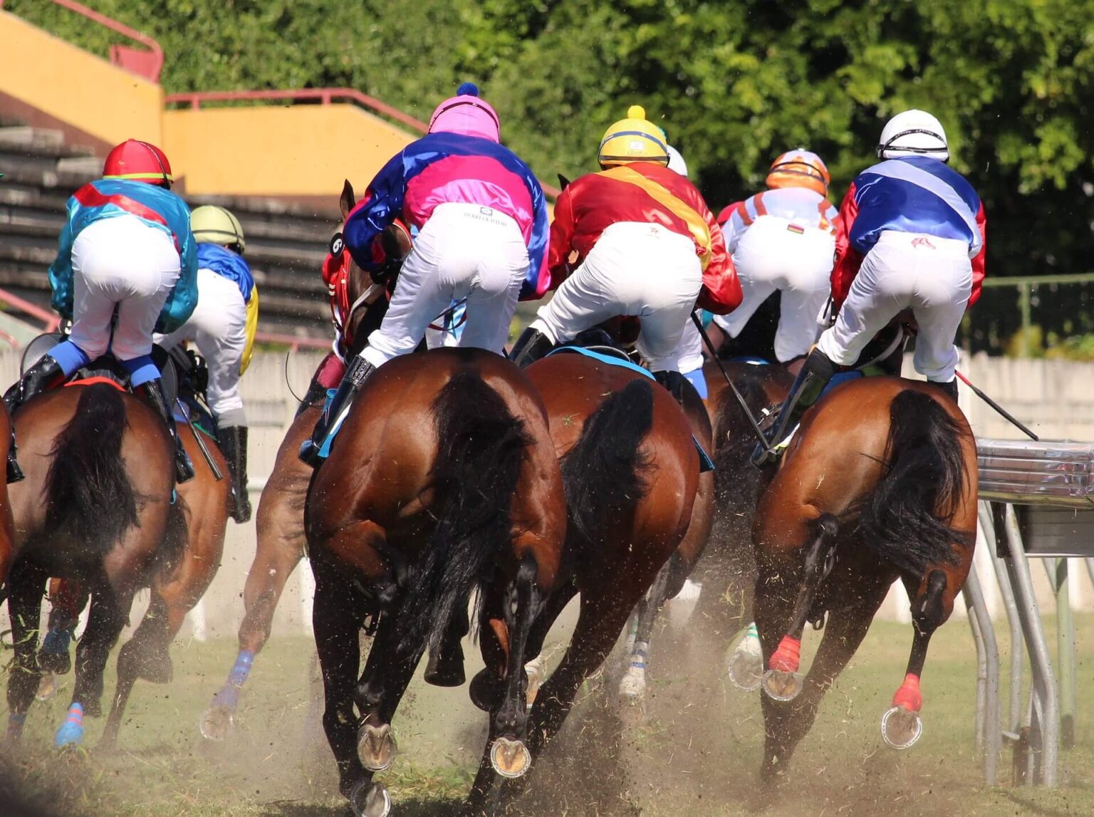 Horse Racing Moris Horse Racing